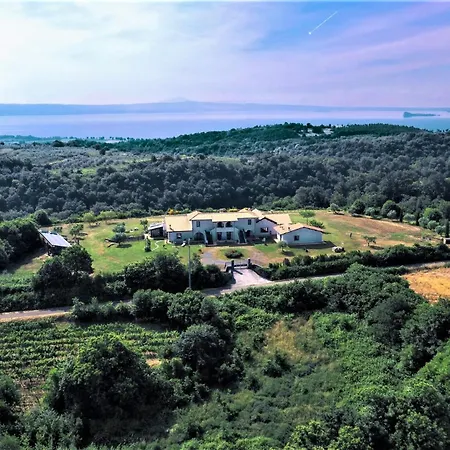 Azienda Agricola Pian Del Grano * Grotte di Castro